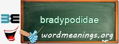 WordMeaning blackboard for bradypodidae